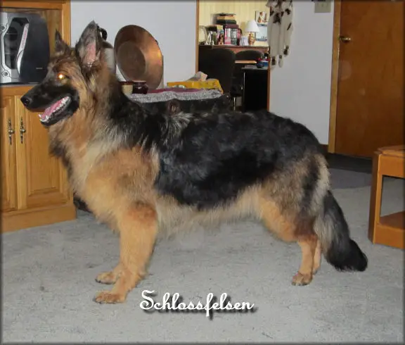 Reba vom Schlossfelsen