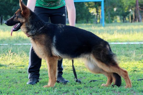 Ifeya Gipfel des Ruhmes