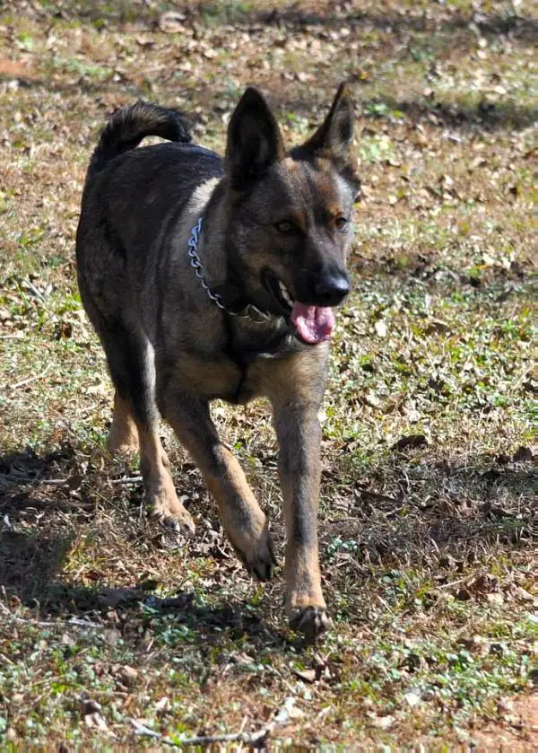 Sophie Vom Haus Rochford