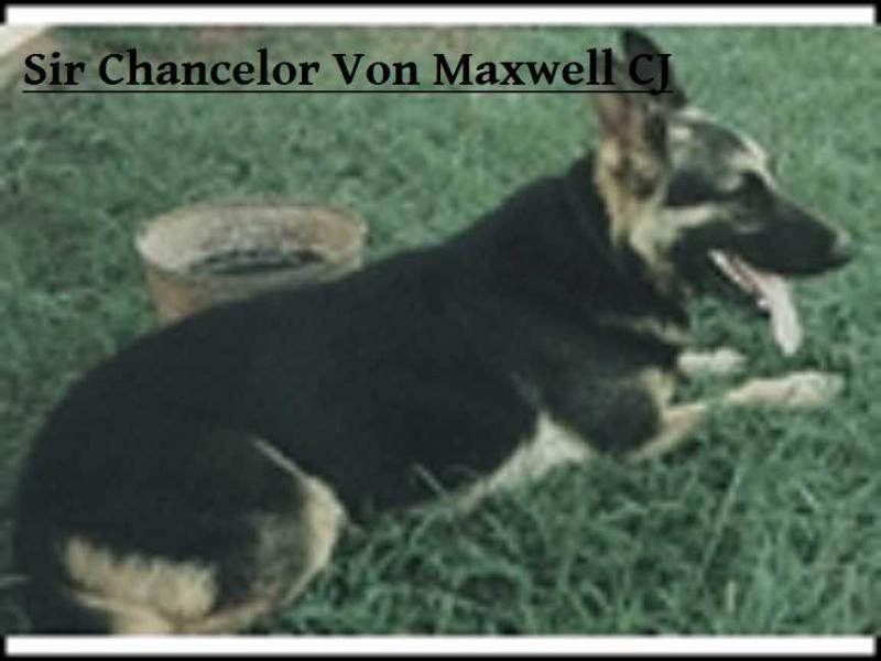 Sir Chancelor Von Maxwell Cj