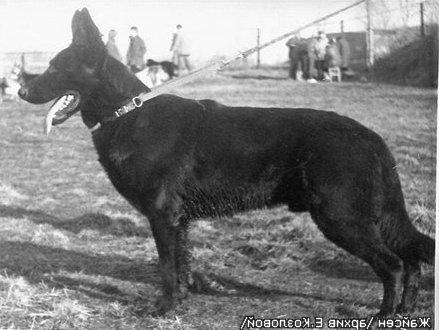 V(USSR) Zhajsen K-625