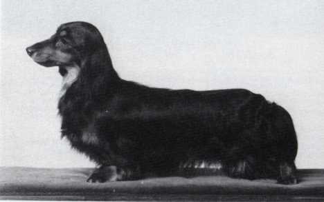 ENG CH Wildstar Witchcraft