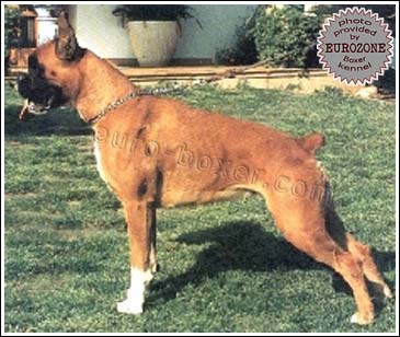 Xantia de Loermo