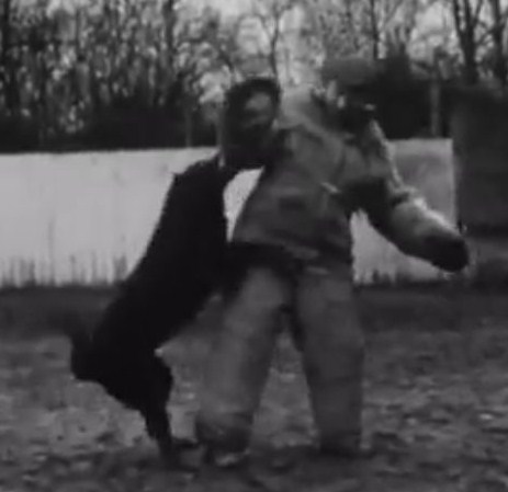 Loustic (Sans Affixe)