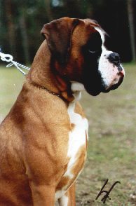 Quai Von Der Flachswiese