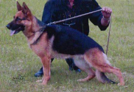 V Ebby vom Haus Petznick