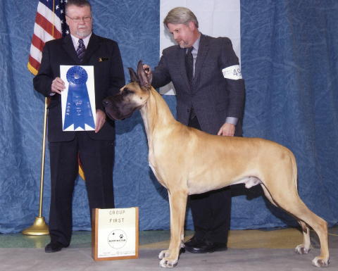 BIS BISS CH Elan's Command Decision Reimroc