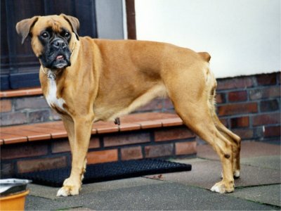 Gonda von Nüsseberg