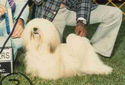 Orlane's Double Treat