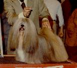 Ruffway Patra Dutch  Treat