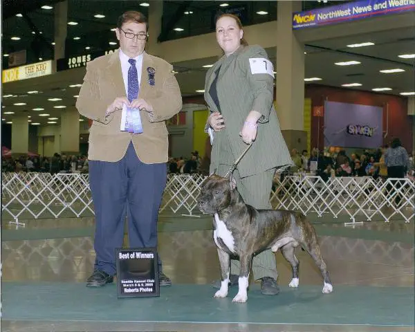 AKC CH/UKC CH Shredders Mask of Destruction