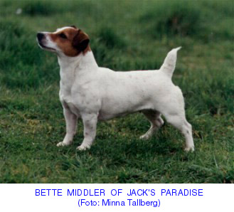 Bette Midler Of Jack's Paradise