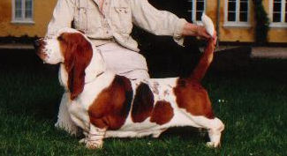 The Third Kind Jake Junior