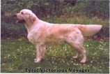 Tyrol Victorious Voyager