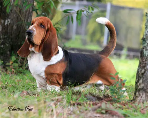 Lake Park George Del Hacedor