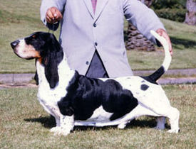 Fort Merril Great Gatsby