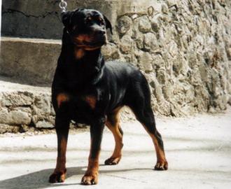 PH CH Wera v h Sommer