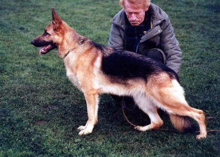 Gracia von der Kahler Heide