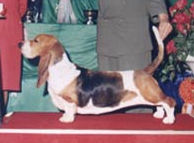 Pampa De La Constelacion