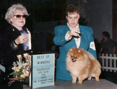 AM CH Merimaur Case's Show Time