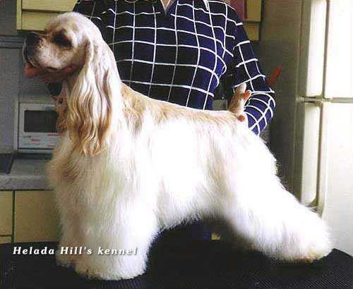 RUS CH Very Vigie Take The Lead