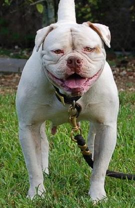 Heaven's Haven Splash