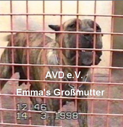 Nala (RRC) 0060004
