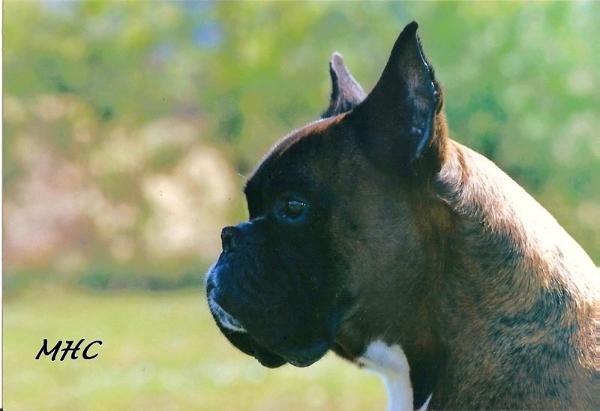 CACS O'Horus du Grand Renon