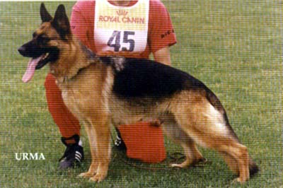 VA(JPN) Ula von der Wienerau