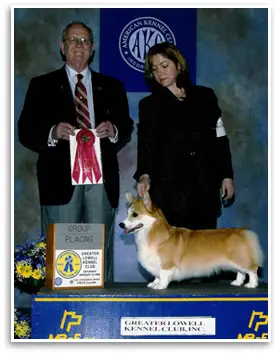 US CH Moosehill Can'T Stop Lov'N Ewes