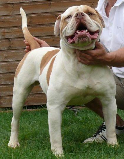 Thompson's Ceasar of Demoniac Team