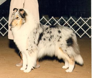 Lisara's Crystal Of Pinewynd