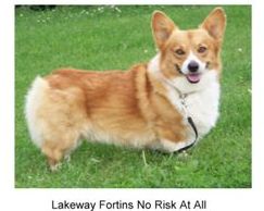 Lakeway  Fortins No Risk At All