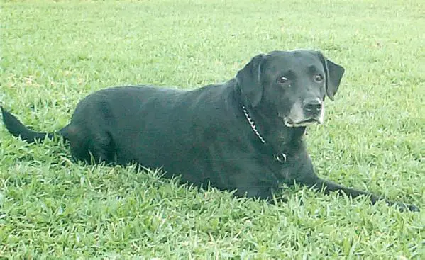 Fremantles Prize My Eyes Mako