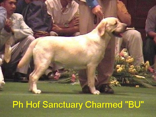 PH HOF Sanctuary's Charmed