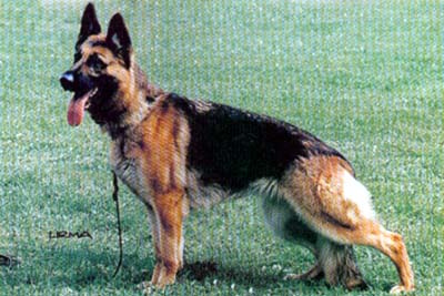 V Nikie vom Berrekasten