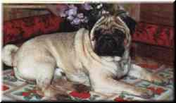 CH RU, PL Sinimetsan Arra