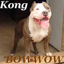 Bowwow King Kong In Los Angeles