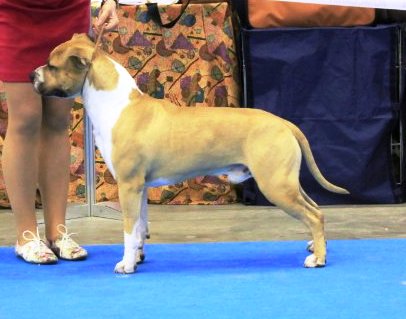 OLDIN from Royal Court Yard