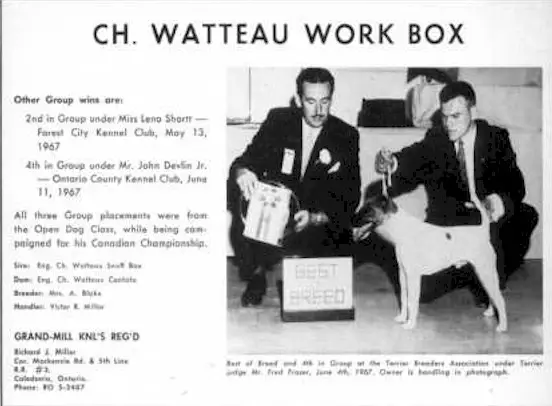 AM CH Watteau Work Box