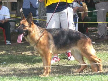 V Rommy vom Haus Zieglmayer