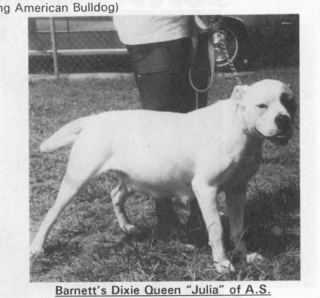 Barnett's Dixie Queen Julia