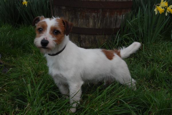 Taylortay Cracker Barrell