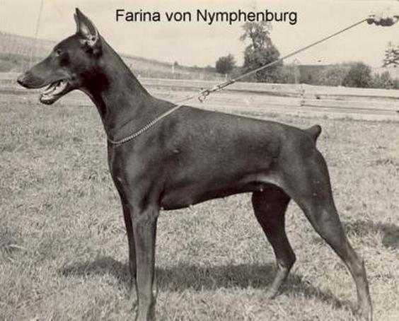 Farina v. Nymphenburg