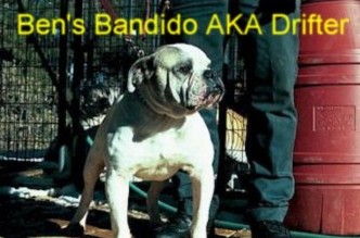 Ben's Bandito aka Drifter
