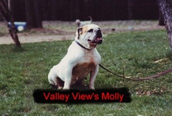 Valley View's Molly