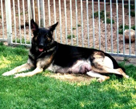 Kessy von der Schiffslache