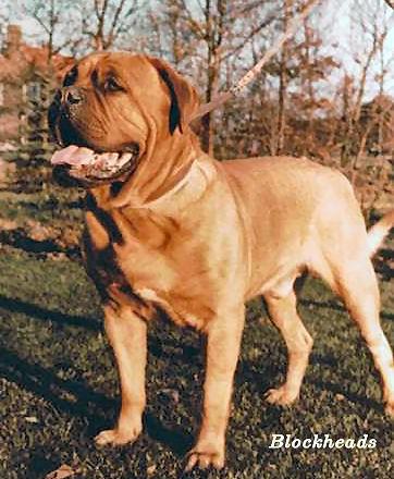 Nova du Domaine des Sources