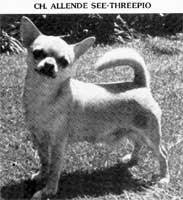 CH GB ALLENDE SEE-THREEPIO