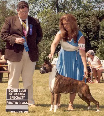 CH Salgray's Chantilly Lace